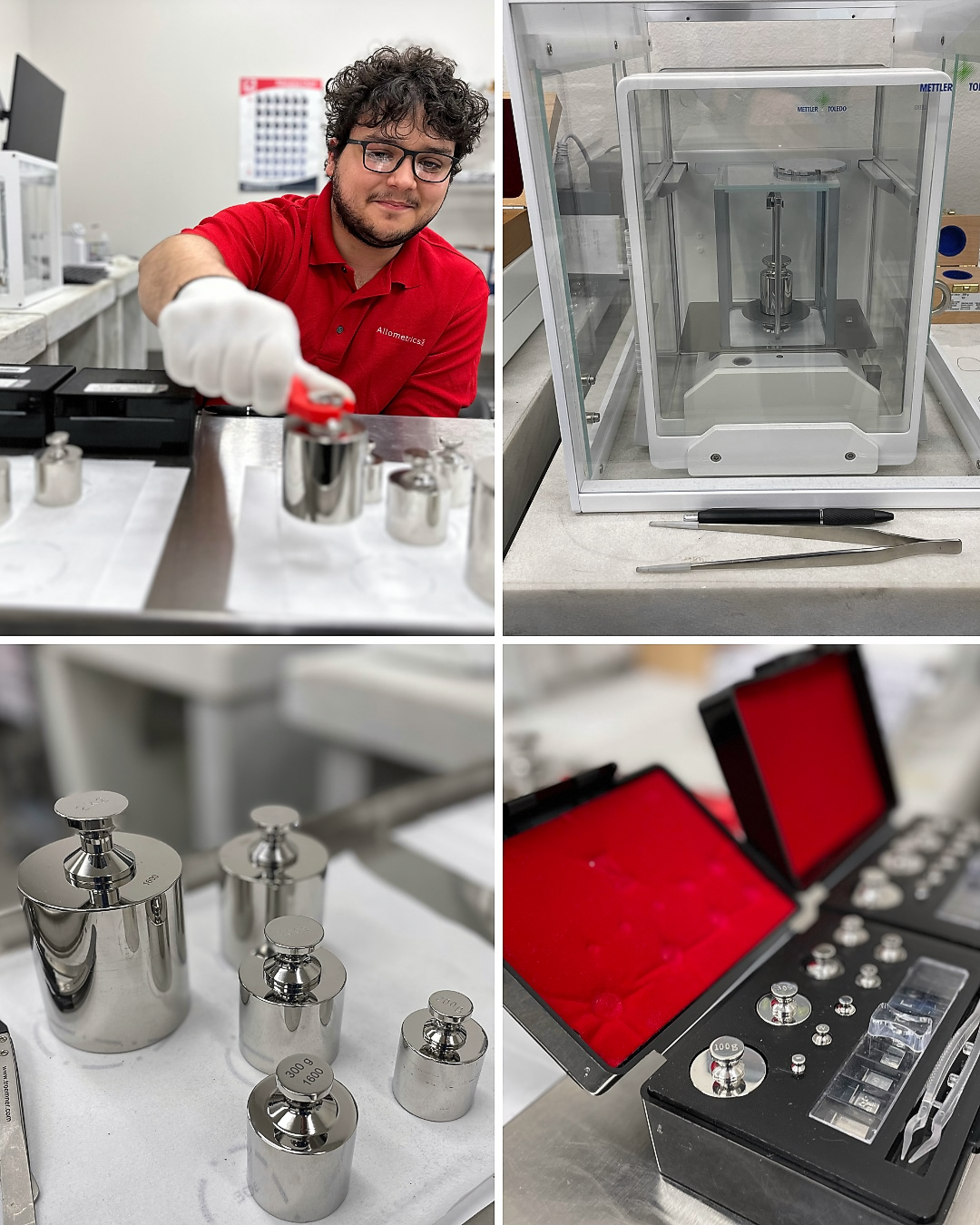 Allometrics metrologist calibrating a reference weight against an analytical balance